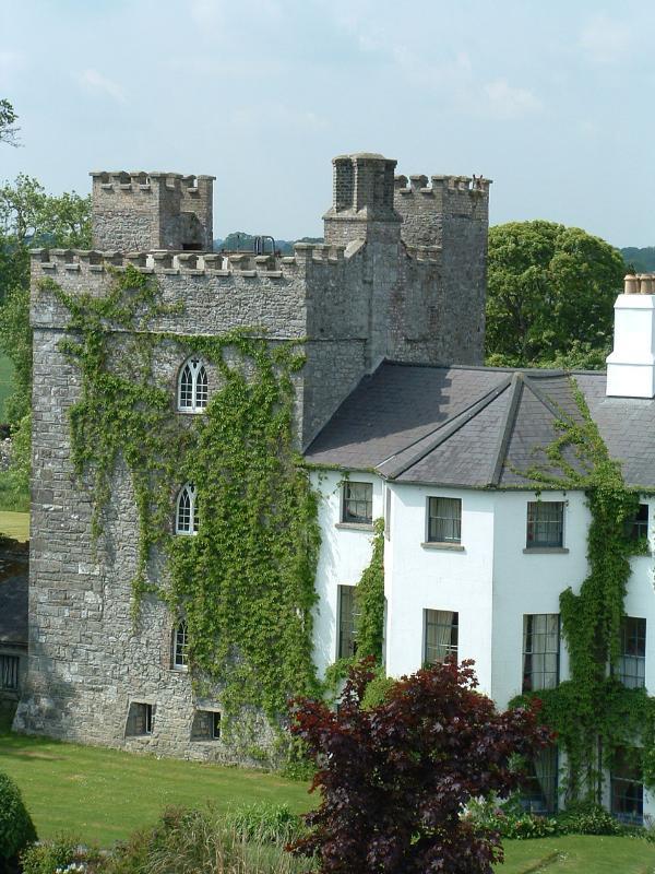 Hotel Barberstown Castle Straffan Exterior foto